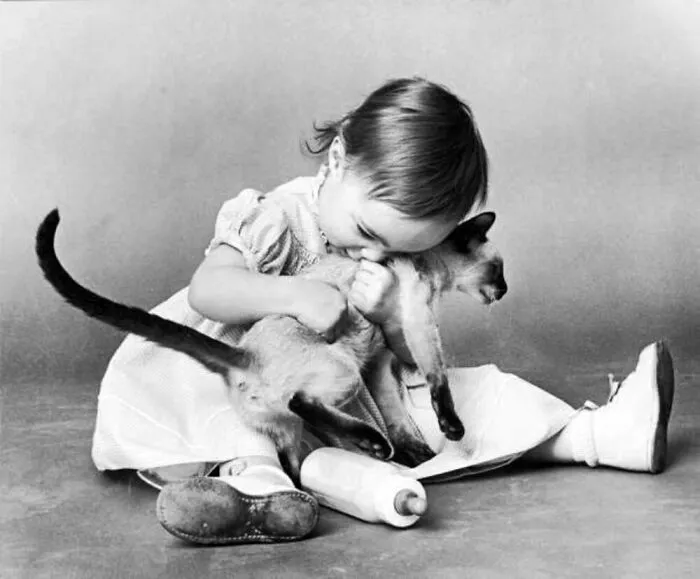 40 Vintage Photos Of Cats Posing With Famous People And Interesting Personalities (New Pics)