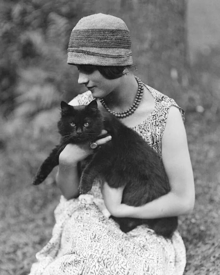 40 Vintage Photos Of Cats Posing With Famous People And Interesting Personalities (New Pics)
