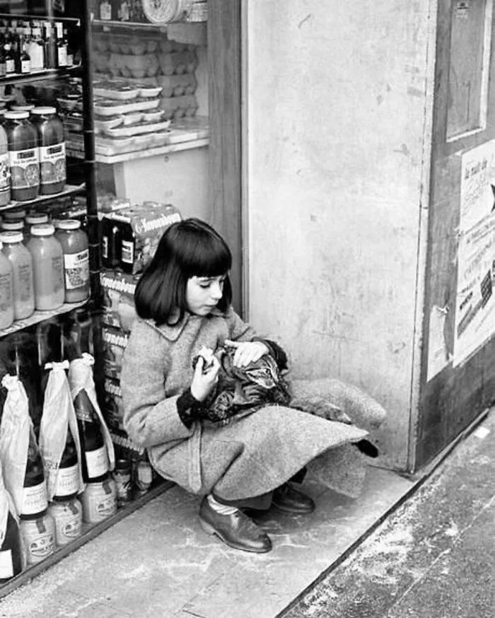 40 Vintage Photos Of Cats Posing With Famous People And Interesting Personalities (New Pics)