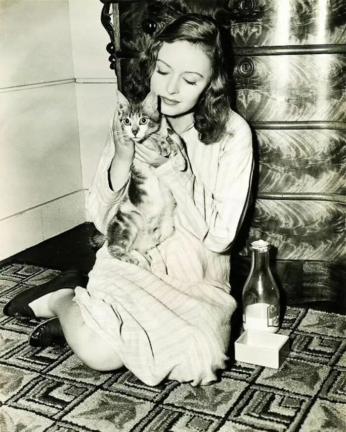 40 Vintage Photos Of Cats Posing With Famous People And Interesting Personalities (New Pics)