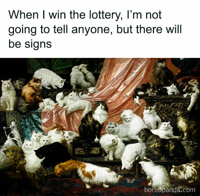 50 Funny And Relatable Cat Memes That Might Make You Want To Rescue A(nother) Cat
