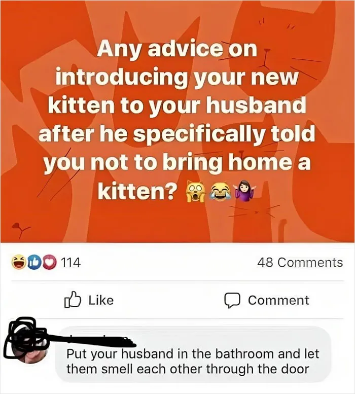 50 Funny And Relatable Cat Memes That Might Make You Want To Rescue A(nother) Cat