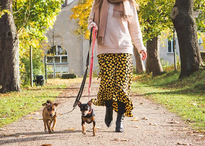 "People With Enormously Obese Pets": 35 Things People Can't Help But Judge Others For