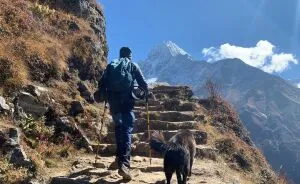 12 Days To Everest: Trekking With A Furry Friend