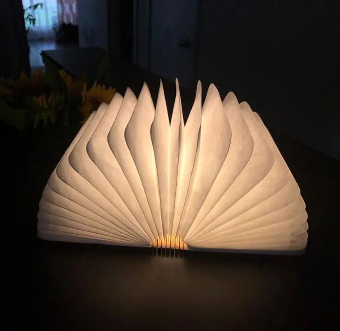 <a Style="Display:inline;" Href="Https://Www.amazon.com/Folding-Novelty-Capacity-Rechargeable-Wooden/Dp/B08drg8j4v?crid=1zk476jbjg8sq&keywords=book+lamp&qid=1703251454&refinements=p_72%3a1248909011&rnid=1248907011&s=hi&sprefix=book+lam%2caps%2c356&sr=1-2-Spons&sp_csd=d2lkz2v0tmftzt1zcf9hdgy&psc=1&linkcode=ll1&tag=bplion-20&linkid=7813f55b12c3ac36cd79b48b2d6a1806&language=en_us&ref_=as_li_ss_tl" Target="_blank"><span Style="Font:inherit;color:#d74b1f;"> Book Lamp</Span> : A Unique Accent Piece That's A Lifesaver For Reading In Bed, Camping Trips, Or Creating Mood Lighting And It Unfolds Like A Book! Safe, Convenient Charging Design Ensures It Will Be Ready When You Are, And It’s An Eye-Catching Gift That Even Non-Readers Will Love.