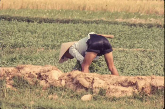 18 Recently Discovered Pics From Vietnam That Netizens Can’t Look Away From