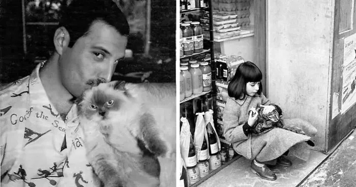 40 Vintage Photos Of Cats Posing With Famous People And Interesting Personalities (New Pics)