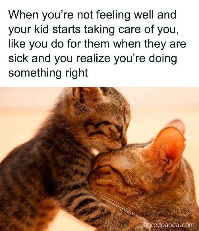 35 Wholesome Memes To Restore Your Faith In Humanity