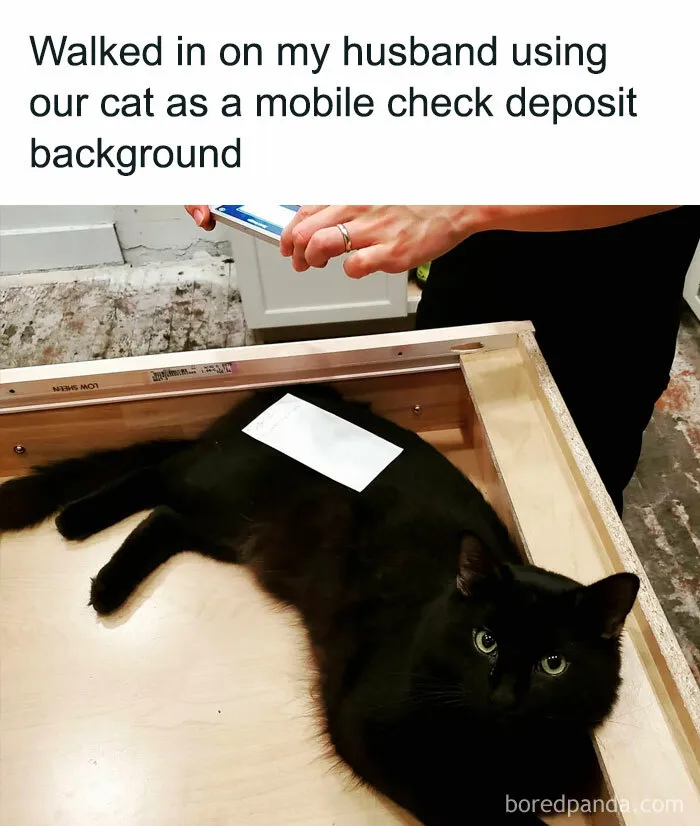 35 Wholesome Memes To Restore Your Faith In Humanity