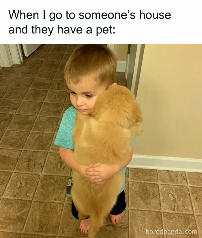 35 Wholesome Memes To Restore Your Faith In Humanity