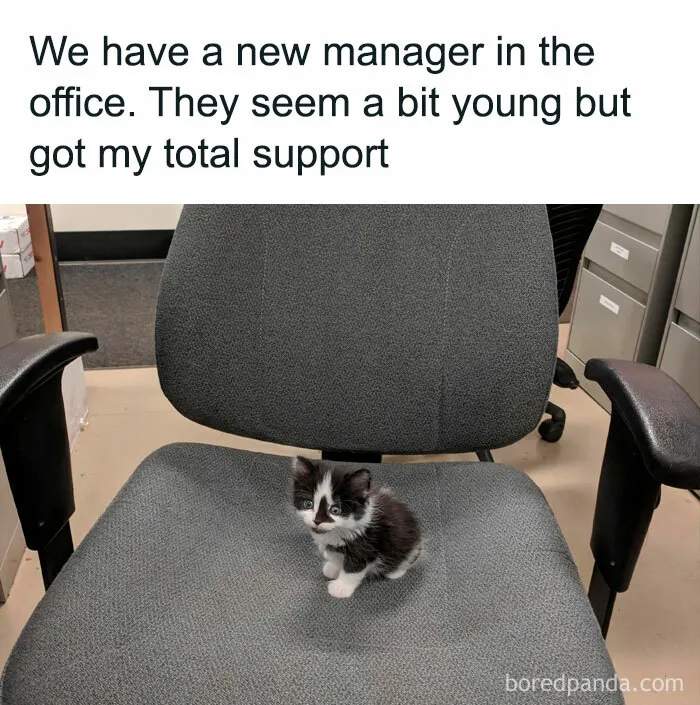 35 Wholesome Memes To Restore Your Faith In Humanity