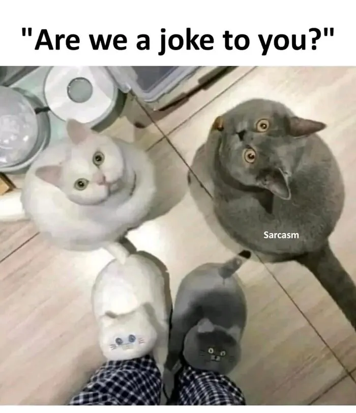 Are We Joke ?