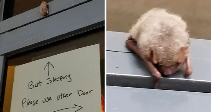 50 Of The Most Cheerful And Wholesome Posts Shared In This Dedicated Facebook Group