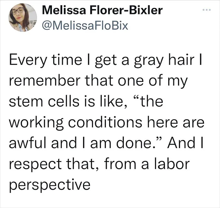 40 Anti-Work Memes From Workipedia To Help You Get Through Another Day