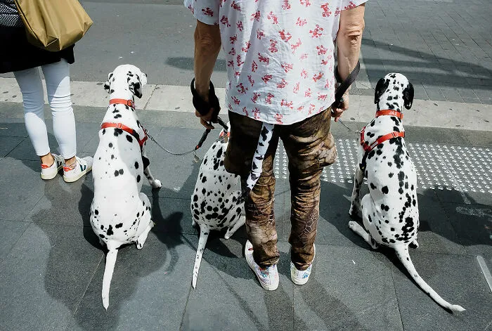 Tales Of The City From The Series Side Street By Gavin Libotte