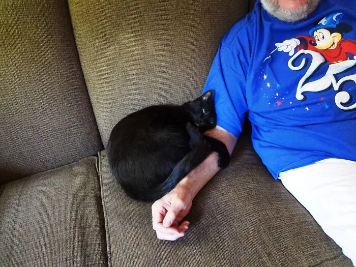 Asta Loves Sleeping On My Arm