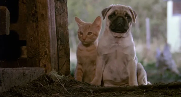 27 Movies That Didn’t Stand The Test Of Time Despite Being So Popular At First
