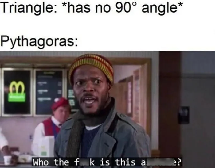 Man reacts humorously in meme about physics and Pythagoras, questioning a triangle lacking a 90-degree angle.