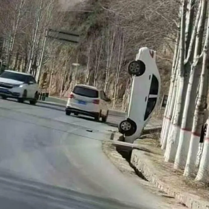48 Imágenes malditas y confusas que carecen de contexto