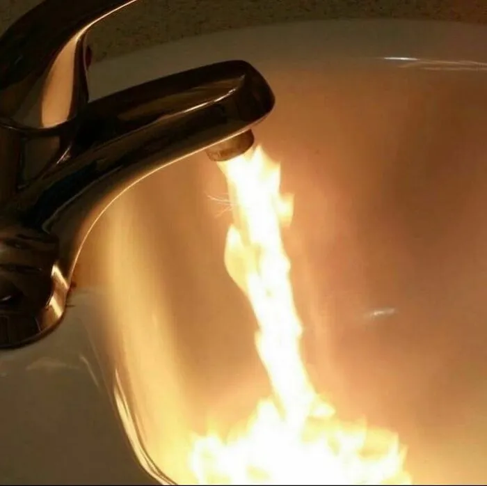 48 Imágenes malditas y confusas que carecen de contexto