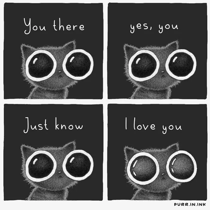 Artist's cat illustrations: four-panel comic of a black cat with huge eyes saying 'You there, yes, you, just know I love you.'