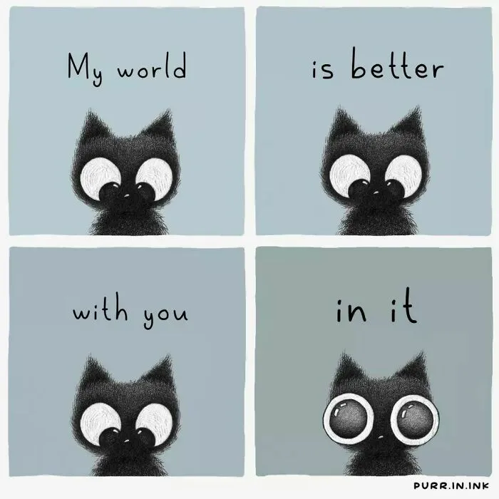Artist's cat illustrations: A four-panel illustration of a black cat, capturing the essence of cats by showing affection.