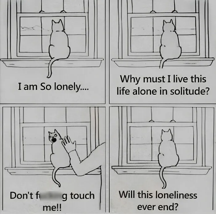 50 Funny And Relatable Cat Memes That Might Make You Want To Rescue A(nother) Cat