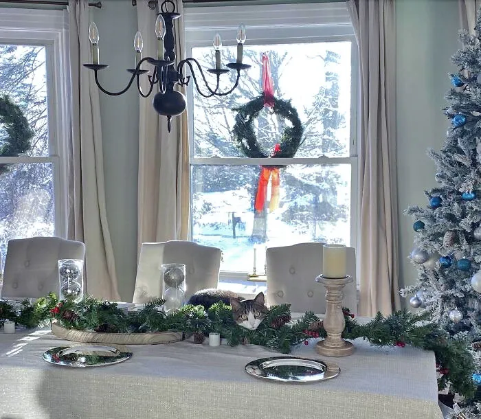 I Don't Recall Buying This Christmas Decoration