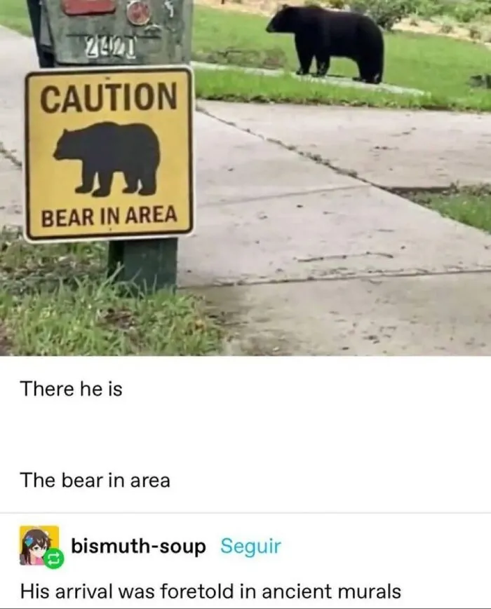 “Animals Doing Things”: 50 Funny And Wholesome Animal Memes And Pics To Make You Smile