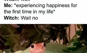 “Animals Doing Things”: 50 Funny And Wholesome Animal Memes And Pics To Make You Smile