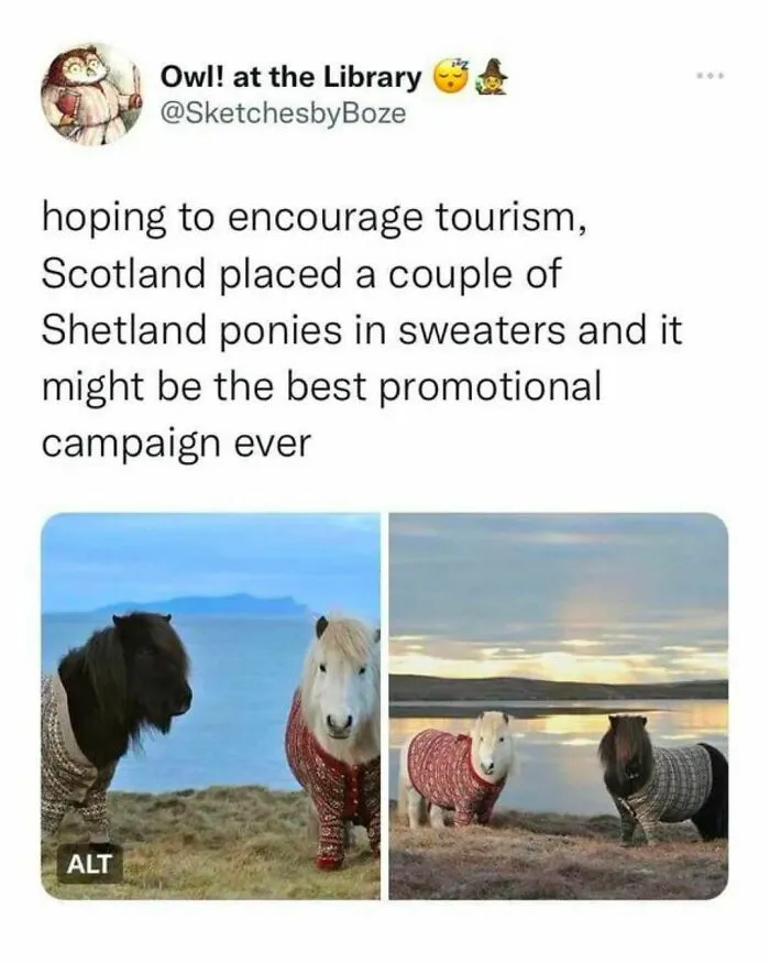 “Animals Doing Things”: 50 Funny And Wholesome Animal Memes And Pics To Make You Smile