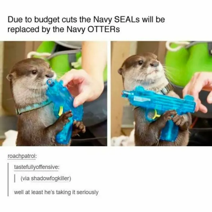 “Animals Doing Things”: 50 Funny And Wholesome Animal Memes And Pics To Make You Smile