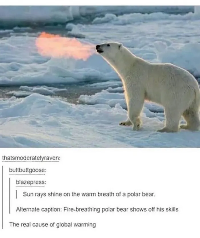 “Animals Doing Things”: 50 Funny And Wholesome Animal Memes And Pics To Make You Smile