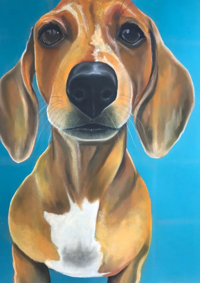 Frankie