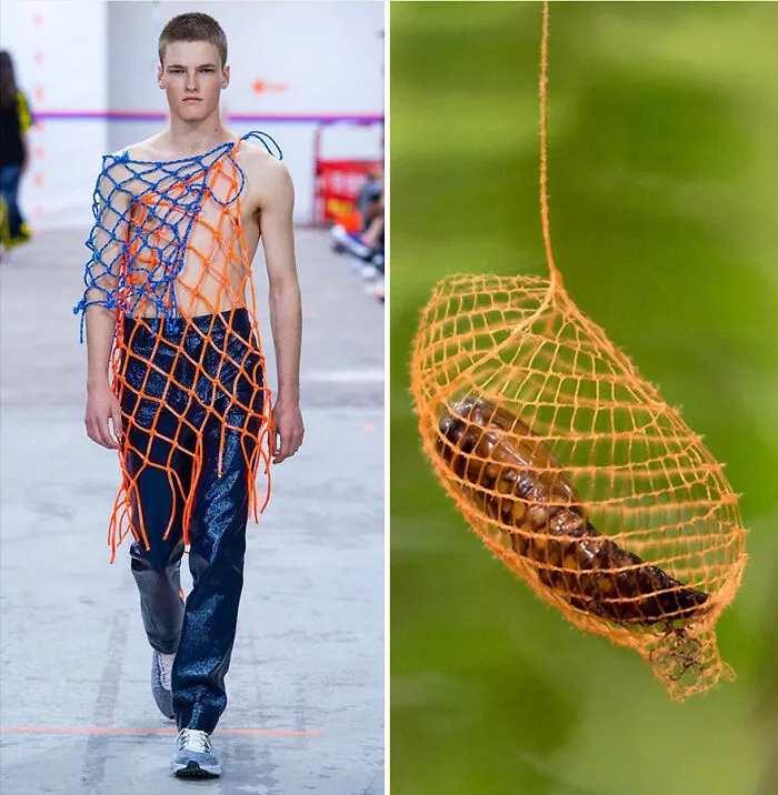 This Instagram Account Shows The Parallels Between Fashion And Nature (28 New Pics)