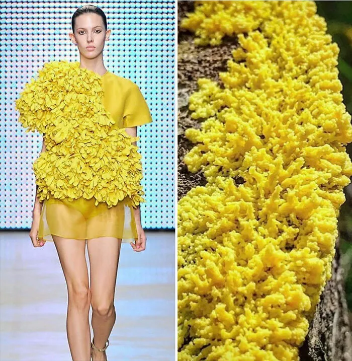 This Instagram Account Shows The Parallels Between Fashion And Nature (28 New Pics)