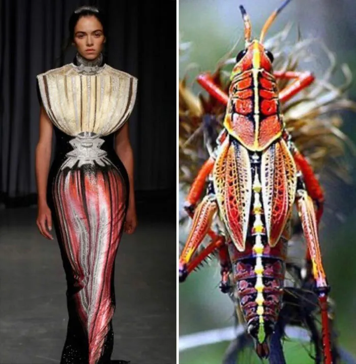 This Instagram Account Shows The Parallels Between Fashion And Nature (28 New Pics)