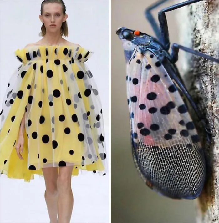 This Instagram Account Shows The Parallels Between Fashion And Nature (28 New Pics)