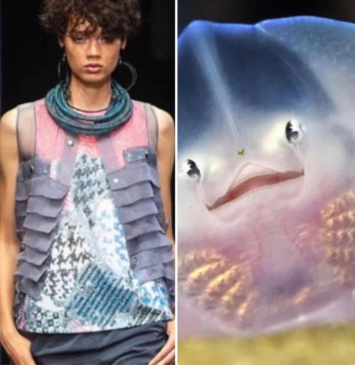 This Instagram Account Shows The Parallels Between Fashion And Nature (28 New Pics)