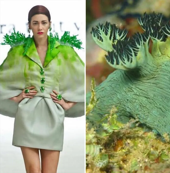 This Instagram Account Shows The Parallels Between Fashion And Nature (28 New Pics)