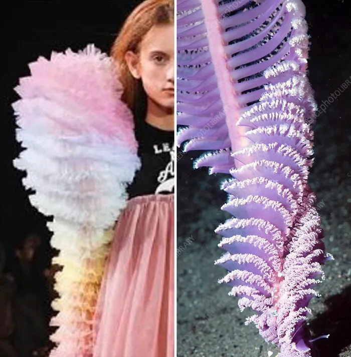 This Instagram Account Shows The Parallels Between Fashion And Nature (28 New Pics)