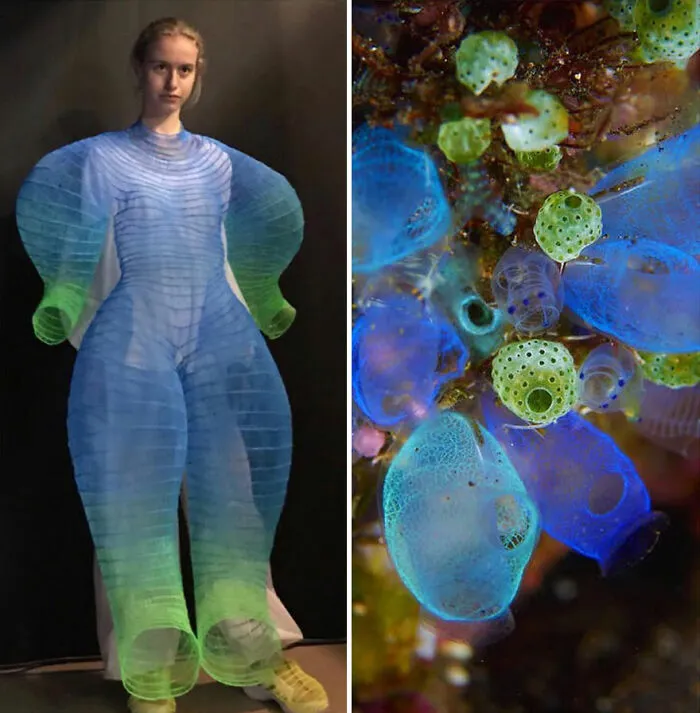 This Instagram Account Shows The Parallels Between Fashion And Nature (28 New Pics)