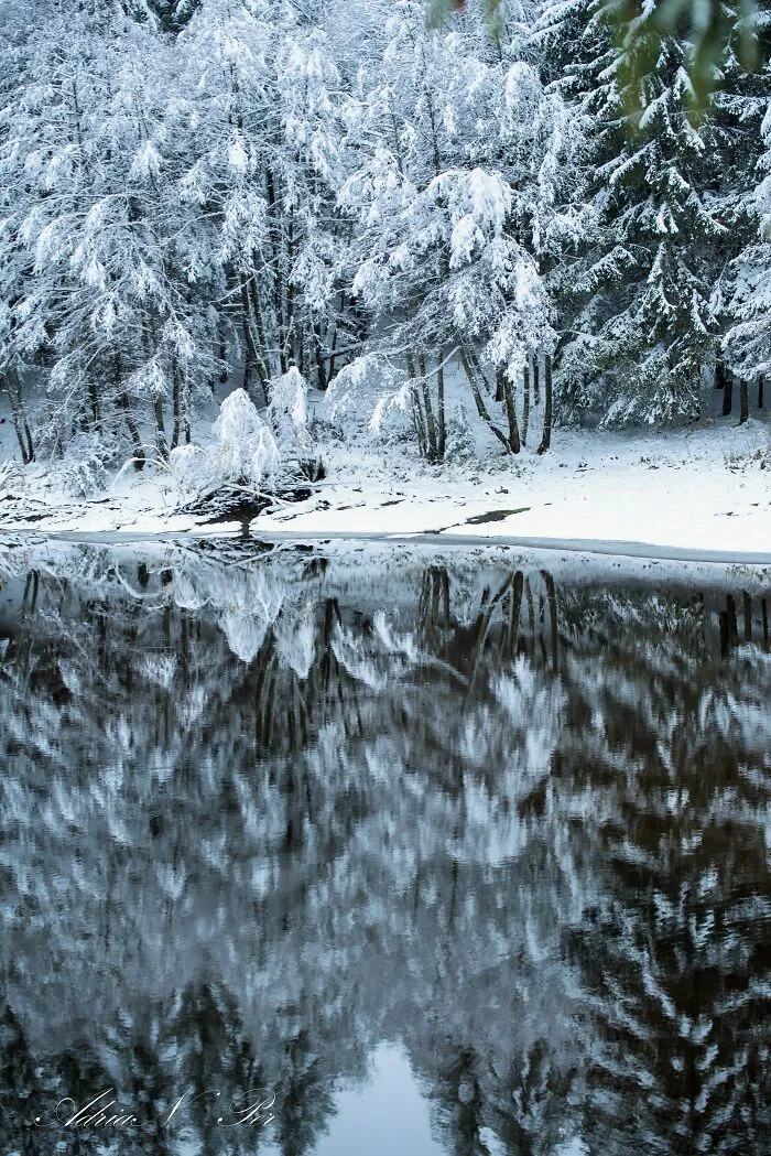 I Captured Frosty Autumn