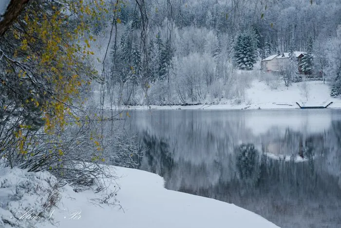 I Captured Frosty Autumn