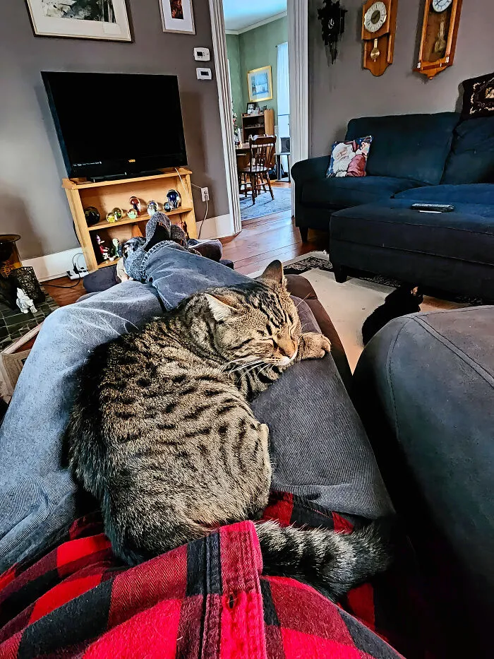 Comfortable