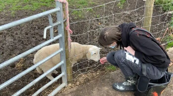 Not My Pet But This Is Marshmallow, She’s An Adult But Never Grew Bigger Than A Lamb, She’s Tiny!