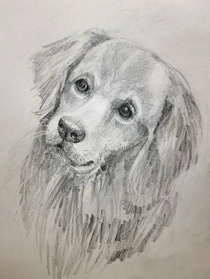 My Dog, Gus