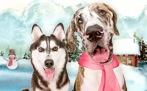 I Took 12 Portraits Of Dogs And Turned Them Into A Cute Calendar To Support A Local Rescue (12 Pics)
