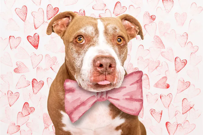 February: Zoey