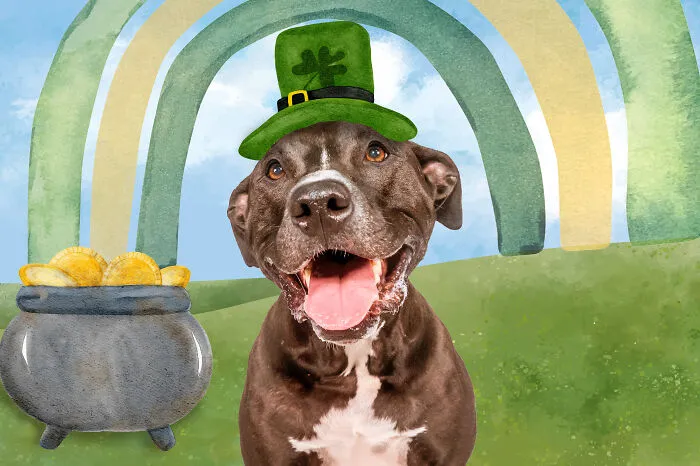 March: Gus
